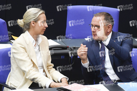 17. Sitzung des Deutschen Bundestages in Berlin