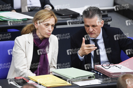 17. Sitzung des Deutschen Bundestages in Berlin