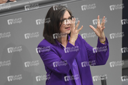 17. Sitzung des Deutschen Bundestages in Berlin