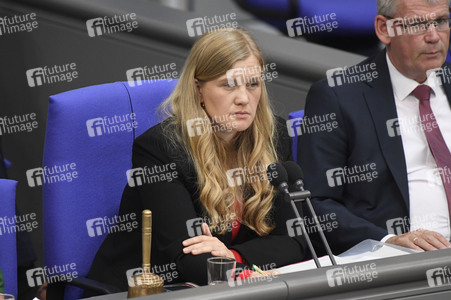 17. Sitzung des Deutschen Bundestages in Berlin