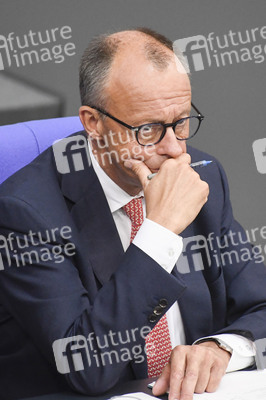 17. Sitzung des Deutschen Bundestages in Berlin