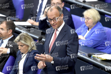 17. Sitzung des Deutschen Bundestages in Berlin