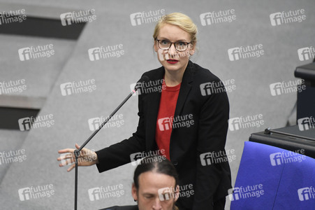 17. Sitzung des Deutschen Bundestages in Berlin