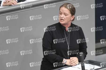 17. Sitzung des Deutschen Bundestages in Berlin