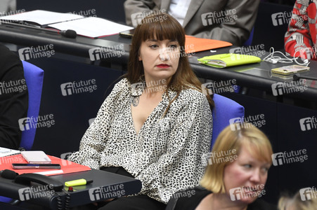 17. Sitzung des Deutschen Bundestages in Berlin