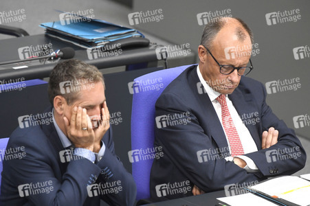 17. Sitzung des Deutschen Bundestages in Berlin