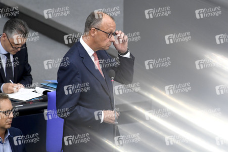 17. Sitzung des Deutschen Bundestages in Berlin