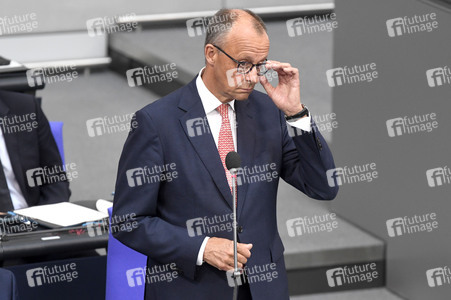 17. Sitzung des Deutschen Bundestages in Berlin