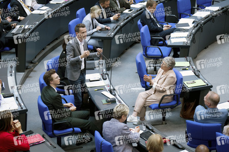 17. Sitzung des Deutschen Bundestages in Berlin