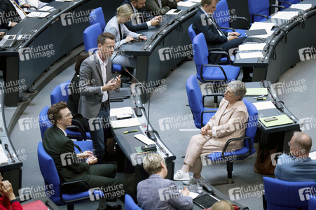 17. Sitzung des Deutschen Bundestages in Berlin