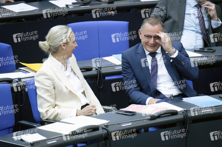 17. Sitzung des Deutschen Bundestages in Berlin