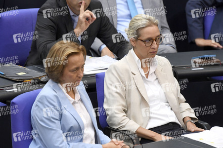 19 Sitzung des Deutschen Bundestages in Berlin