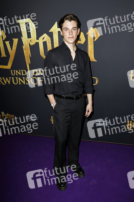 Red Carpet-Event 10 Jahre Theater am Großmarkt in Hamburg