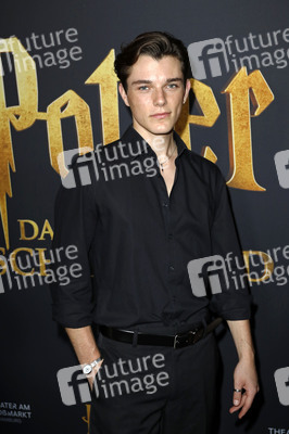 Red Carpet-Event 10 Jahre Theater am Großmarkt in Hamburg