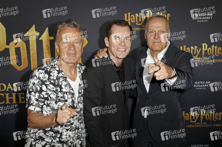 Red Carpet-Event 10 Jahre Theater am Großmarkt in Hamburg