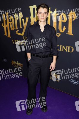 Red Carpet-Event 10 Jahre Theater am Großmarkt in Hamburg