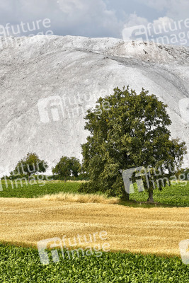 Abraumhalde Wetterberg in Giesen