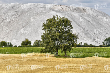 Abraumhalde Wetterberg in Giesen