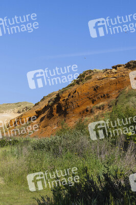 Das Morsum-Kliff bei Morsum