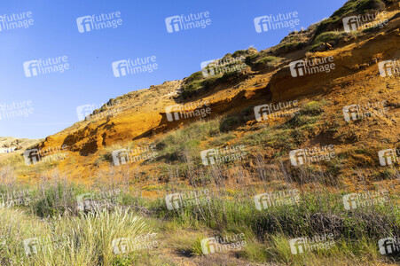 Das Morsum-Kliff bei Morsum