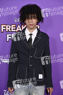 Filmpremiere 'Freakier Friday' in Los Angeles