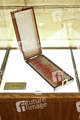 Paramount+ The Lodge, San Diego Comic-Con International 2025