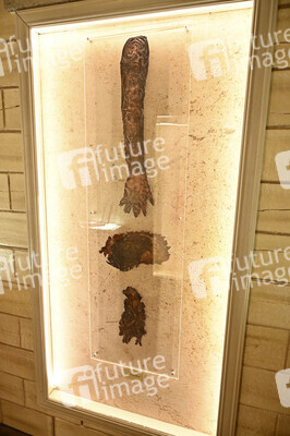 Paramount+ The Lodge, San Diego Comic-Con International 2025