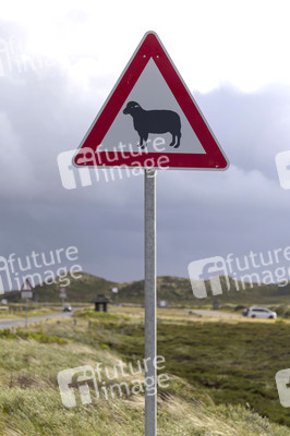 Symbolfoto Verkehrsschild Achtung Schafe