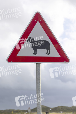 Symbolfoto Verkehrsschild Achtung Schafe