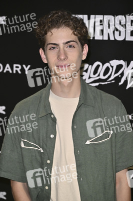 Filmpremiere 'The Toxic Avenger', San Diego Comic-Con International 2025