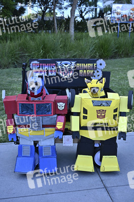 Impressionen von der San Diego Comic-Con International 2025