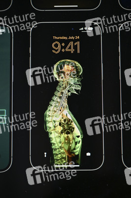 Impressionen von der San Diego Comic-Con International 2025