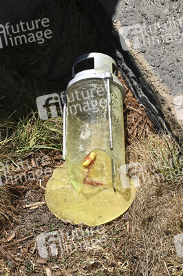 Impressionen von der San Diego Comic-Con International 2025