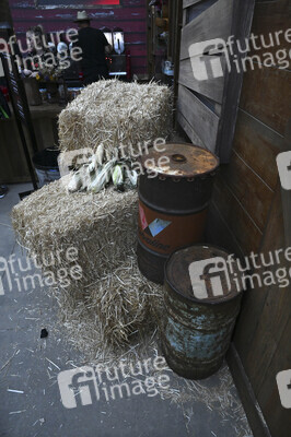 Impressionen von der San Diego Comic-Con International 2025