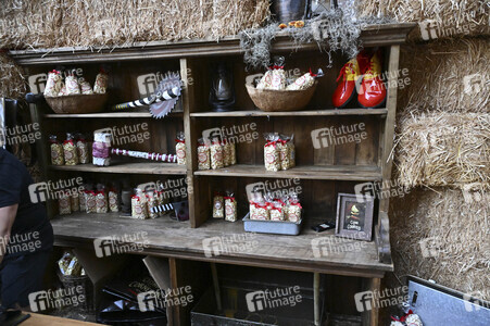 Impressionen von der San Diego Comic-Con International 2025