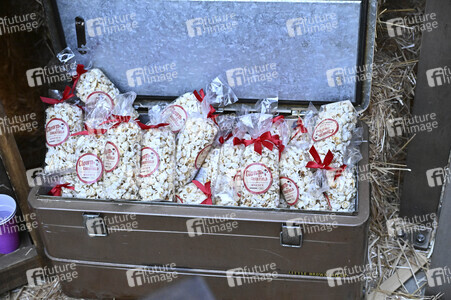 Impressionen von der San Diego Comic-Con International 2025