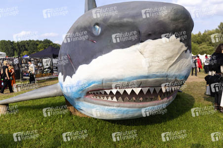 Mittelalterlich Phantasie Spectaculum in Bückeburg