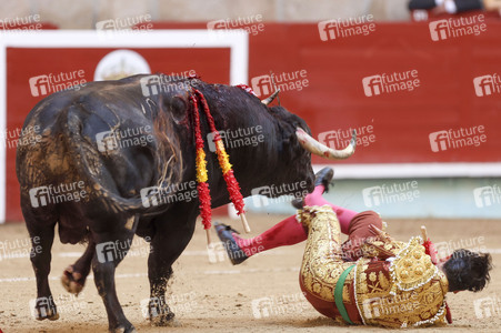 Stierkampf in Pontevedra