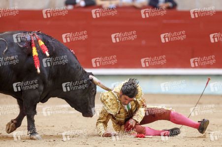 Stierkampf in Pontevedra