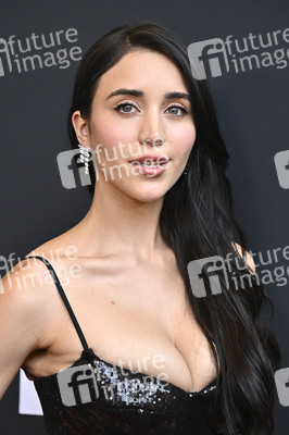 Filmpremiere 'Hollywood Grit' in Los Angeles