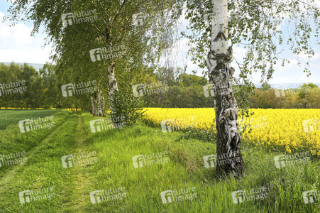 Nature Art: Mensch & Natur - Farbige Symbiosen Kalender 2026