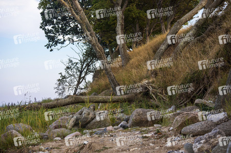 Nature Art: Mensch & Natur - Farbige Symbiosen Kalender 2026