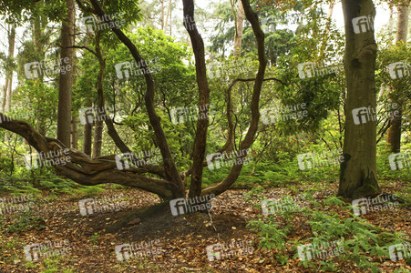 Nature Art: Mensch & Natur - Farbige Symbiosen Kalender 2026