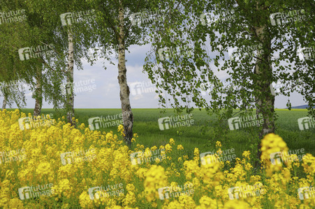 Nature Art: Mensch & Natur - Farbige Symbiosen Kalender 2026