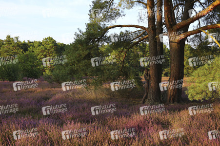 Nature Art: Mensch & Natur - Farbige Symbiosen Kalender 2026