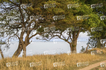 Nature Art: Mensch & Natur - Farbige Symbiosen Kalender 2026