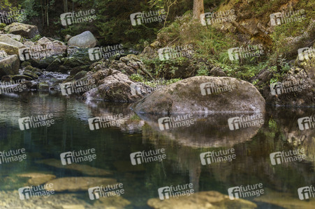 Nature Art: Mensch & Natur - Farbige Symbiosen Kalender 2026