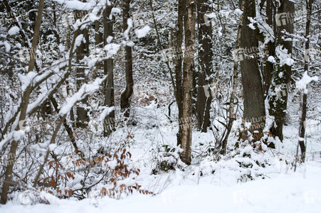 Nature Art: Mensch & Natur - Farbige Symbiosen Kalender 2026