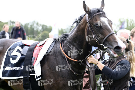 Audi Ascot Renntag 2025 in Langenhagen