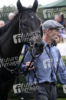 Audi Ascot Renntag 2025 in Langenhagen